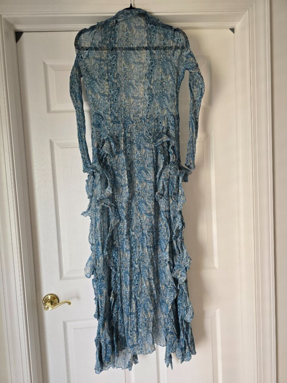 Free People Samantha Chiffon Maxi - Picture 7 of 8
